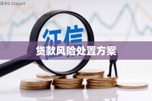 岑巩贷款风险处置方案