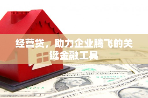 岑巩经营贷，助力企业腾飞的关键金融工具