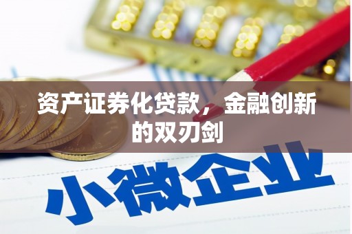 岑巩资产证券化贷款，金融创新的双刃剑