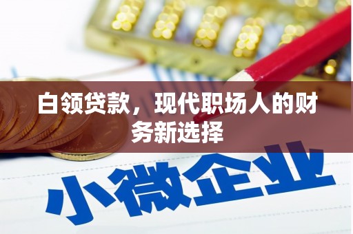 岑巩白领贷款，现代职场人的财务新选择