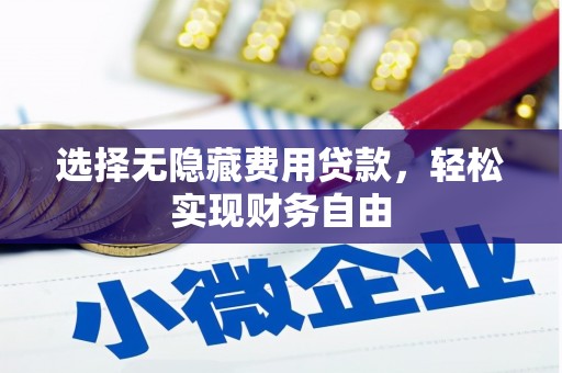 岑巩选择无隐藏费用贷款，轻松实现财务自由