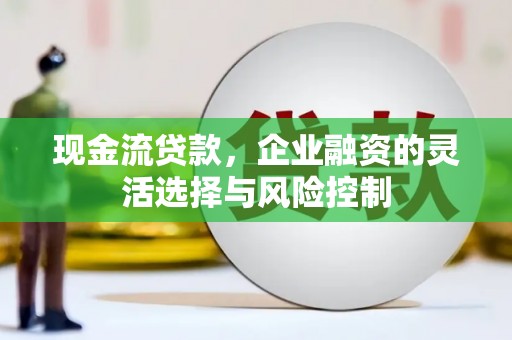 岑巩现金流贷款，企业融资的灵活选择与风险控制