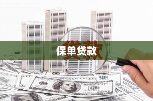 岑巩保单贷款