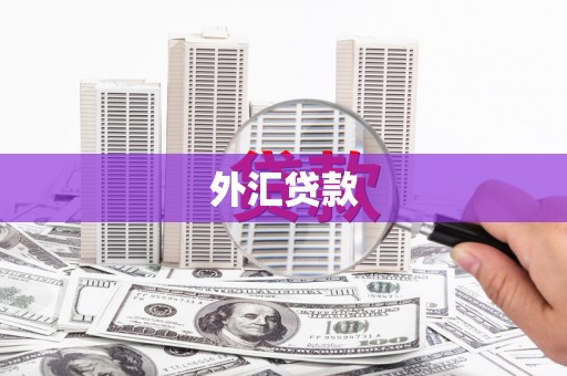 岑巩外汇贷款