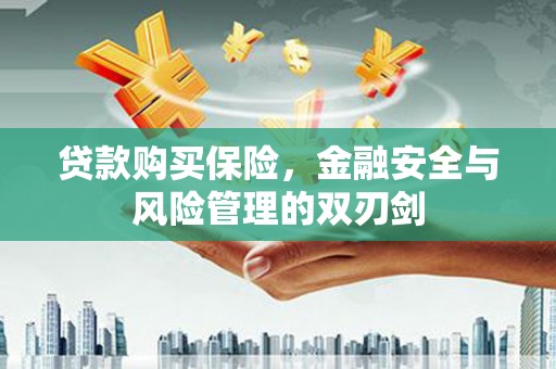 岑巩贷款购买保险，金融安全与风险管理的双刃剑