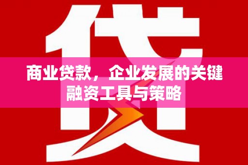 岑巩商业贷款，企业发展的关键融资工具与策略