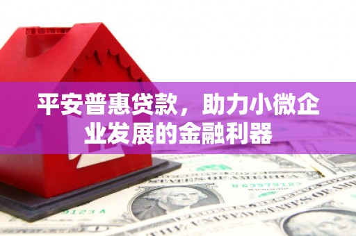 岑巩平安普惠贷款，助力小微企业发展的金融利器