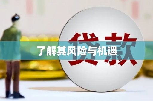 岑巩了解其风险与机遇