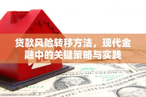 岑巩贷款风险转移方法，现代金融中的关键策略与实践