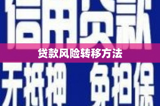 岑巩贷款风险转移方法
