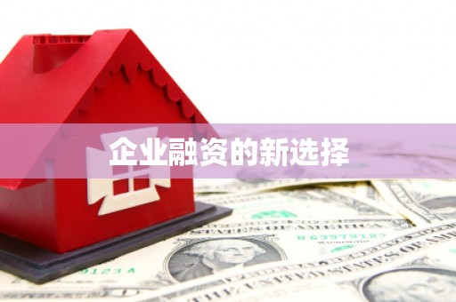 岑巩企业融资的新选择