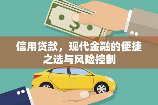 岑巩信用贷款，现代金融的便捷之选与风险控制