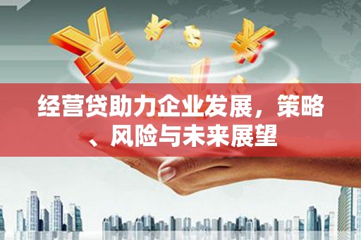 岑巩经营贷助力企业发展，策略、风险与未来展望