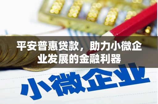 岑巩平安普惠贷款，助力小微企业发展的金融利器