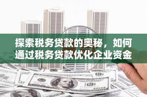 岑巩探索税务贷款的奥秘，如何通过税务贷款优化企业资金流
