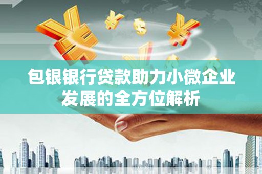 岑巩包银银行贷款助力小微企业发展的全方位解析