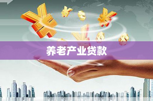 岑巩养老产业贷款