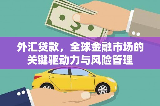岑巩外汇贷款，全球金融市场的关键驱动力与风险管理
