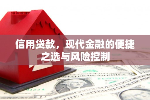 岑巩信用贷款，现代金融的便捷之选与风险控制