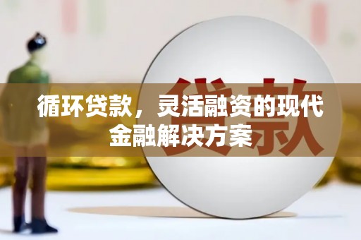岑巩循环贷款，灵活融资的现代金融解决方案