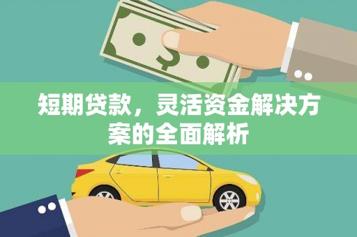 岑巩短期贷款，灵活资金解决方案的全面解析