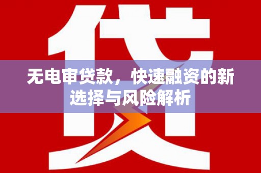 岑巩无电审贷款，快速融资的新选择与风险解析