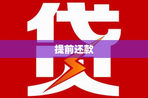 岑巩提前还款