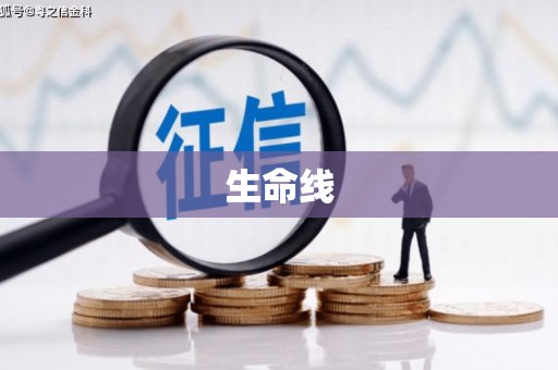岑巩生命线