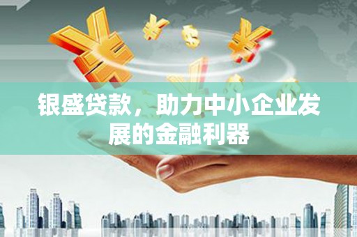 岑巩银盛贷款，助力中小企业发展的金融利器