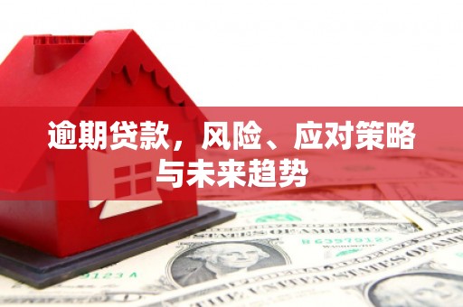 岑巩逾期贷款，风险、应对策略与未来趋势