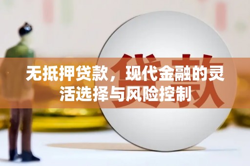 岑巩无抵押贷款，现代金融的灵活选择与风险控制