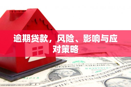 岑巩逾期贷款，风险、影响与应对策略