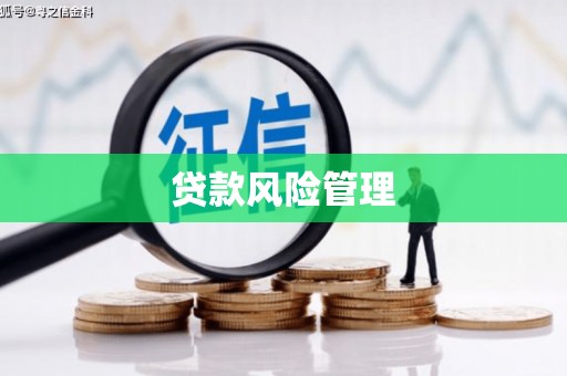 岑巩贷款风险管理