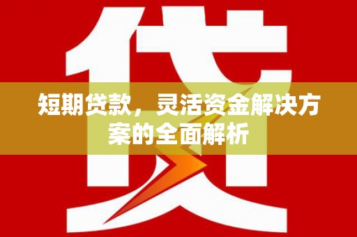 岑巩短期贷款，灵活资金解决方案的全面解析