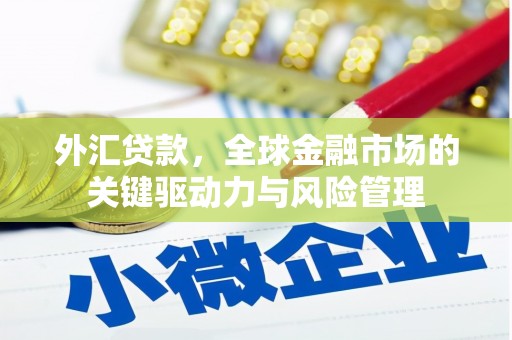 岑巩外汇贷款，全球金融市场的关键驱动力与风险管理