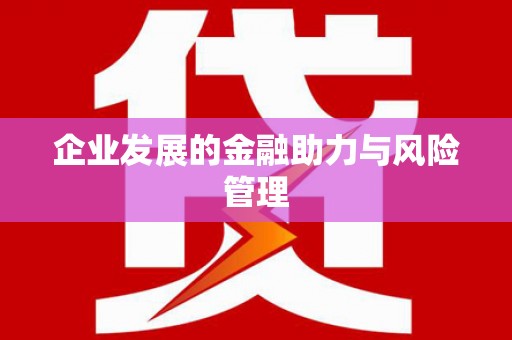 岑巩企业发展的金融助力与风险管理