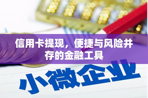 岑巩信用卡提现，便捷与风险并存的金融工具