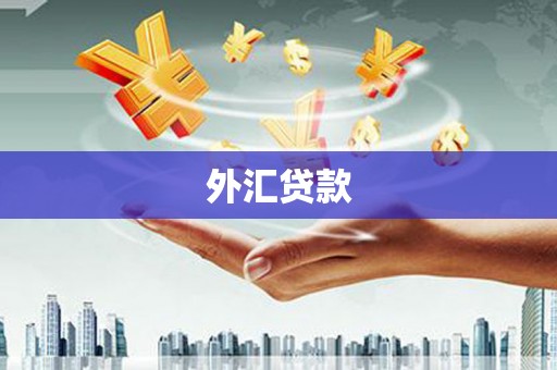 岑巩外汇贷款