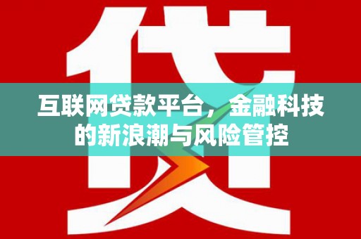 岑巩互联网贷款平台，金融科技的新浪潮与风险管控