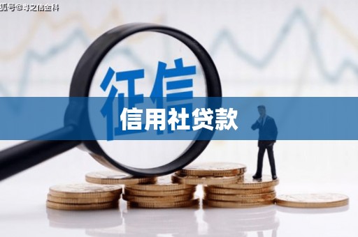 岑巩信用社贷款