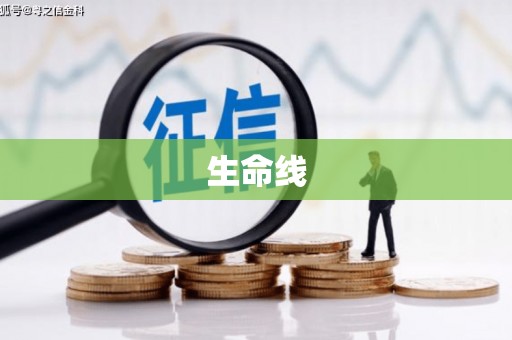 岑巩生命线