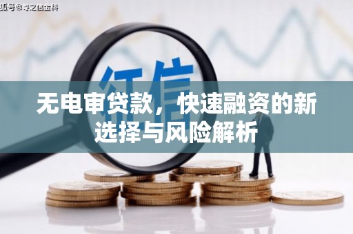 岑巩无电审贷款，快速融资的新选择与风险解析