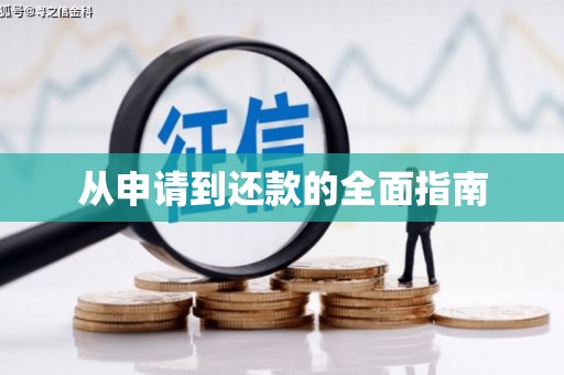 岑巩从申请到还款的全面指南