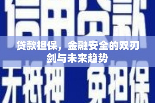 岑巩贷款担保，金融安全的双刃剑与未来趋势