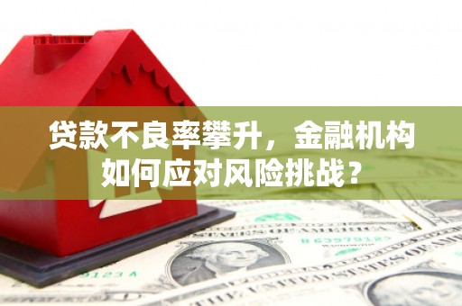 岑巩贷款不良率攀升，金融机构如何应对风险挑战？