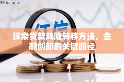 岑巩探索贷款风险转移方法，金融创新的关键路径