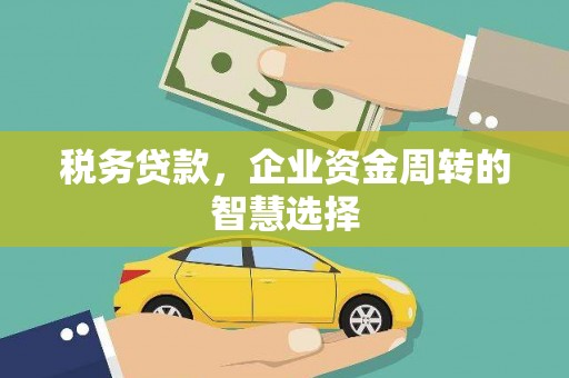 岑巩税务贷款，企业资金周转的智慧选择