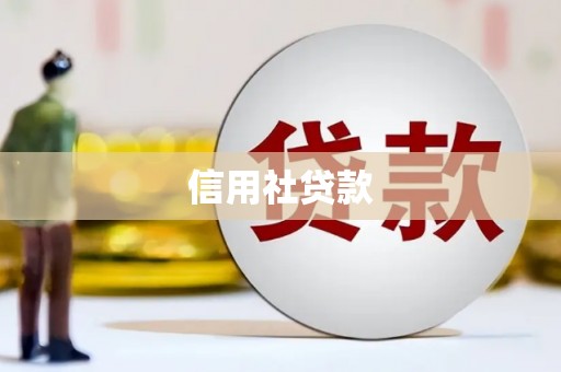 岑巩信用社贷款
