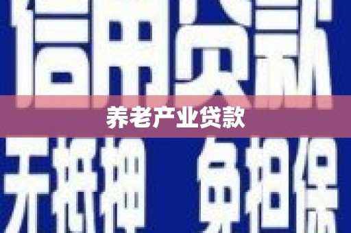 岑巩养老产业贷款