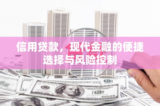 岑巩信用贷款，现代金融的便捷选择与风险控制